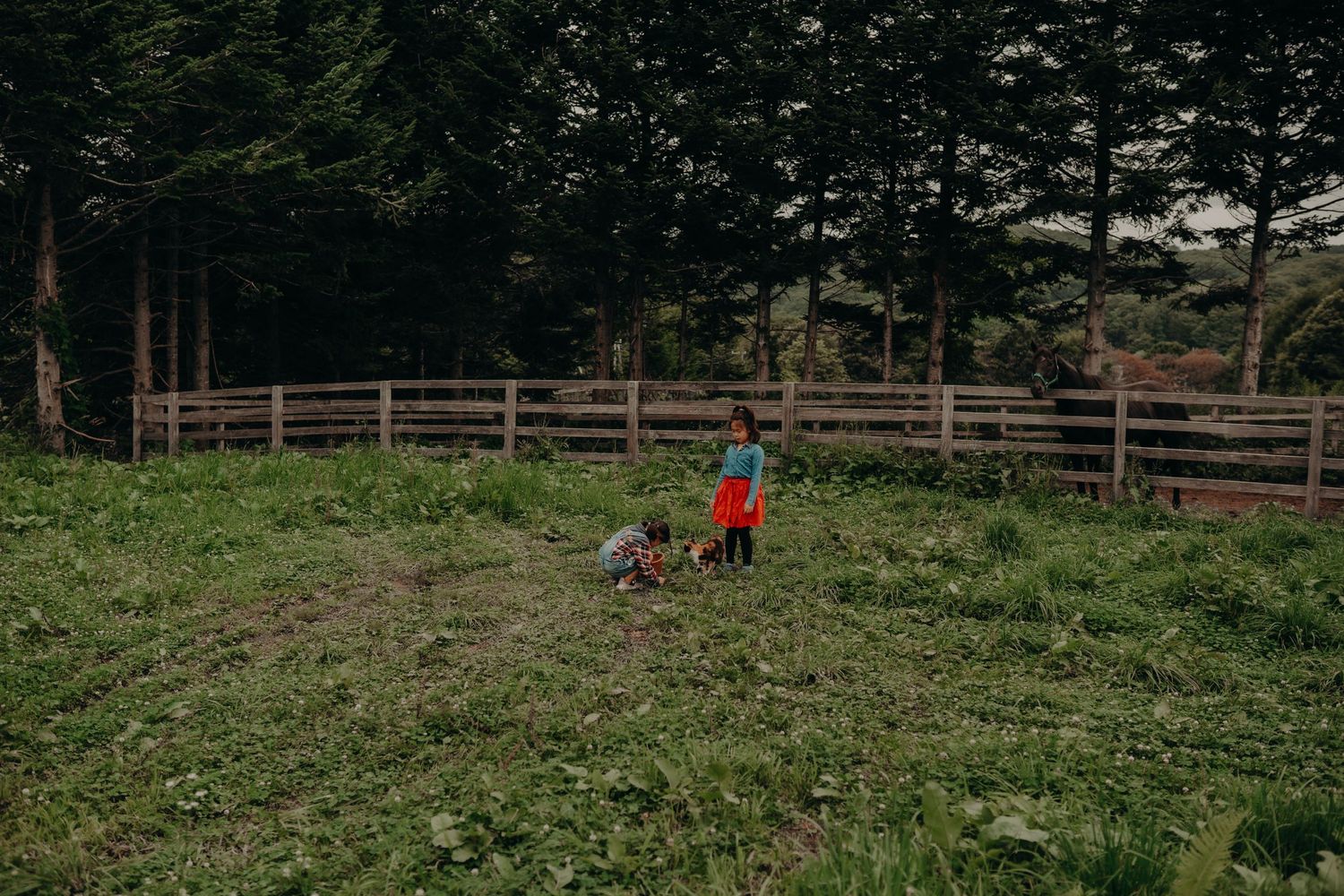 Hokkaido Photographer