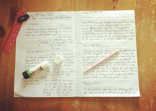 Handwritten journal pages with pen and small decorative items.