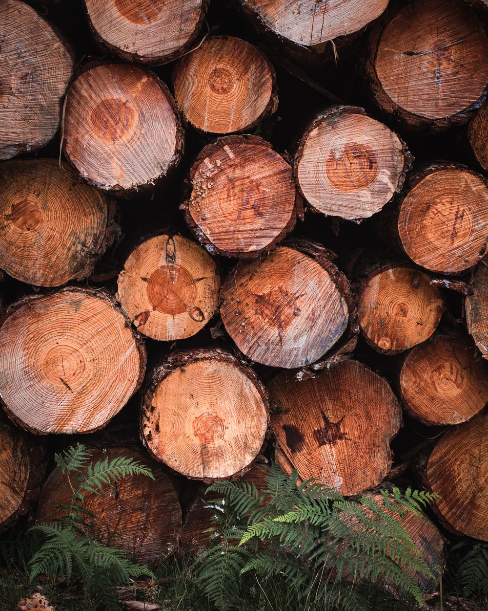 close up of logs