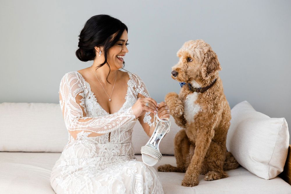 Bride's fur baby helping her get ready for wedding at Jorgensen Farms in Westerville, Ohio.