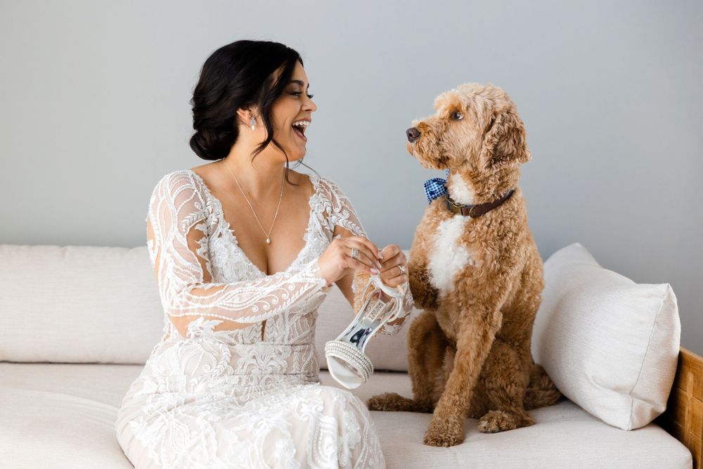 Dog helping bride get ready for wedding at Jorgensen Farms in Westerville, Ohio.