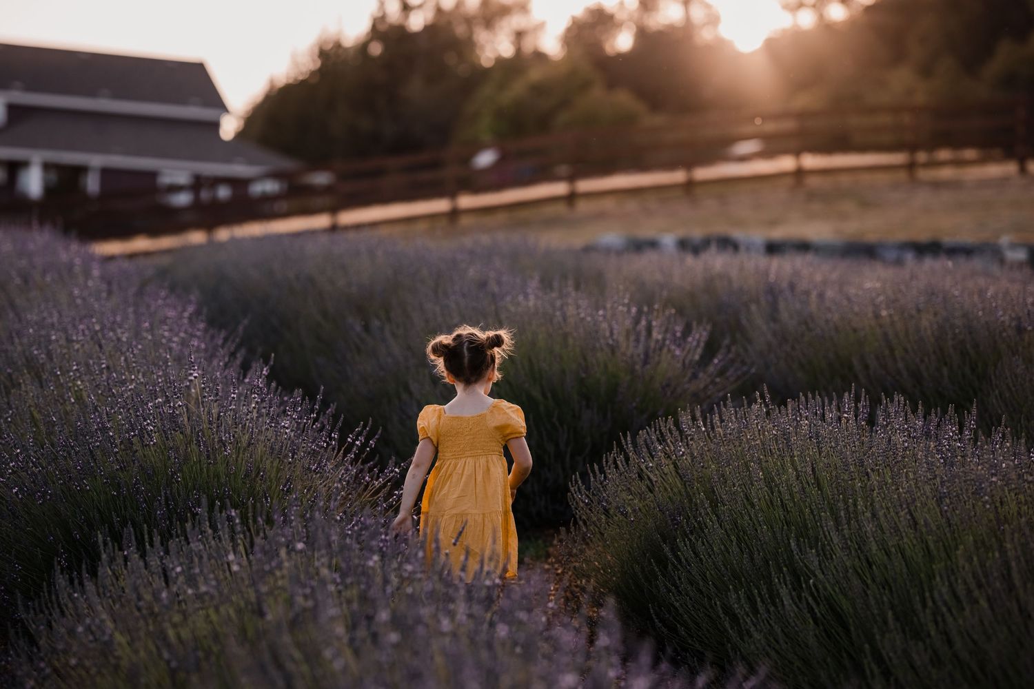 Storytelling, Family, Sacramento, Lincoln, Roseville, Auburn, Rocklin, lifestyle, milestone, birth, flower field