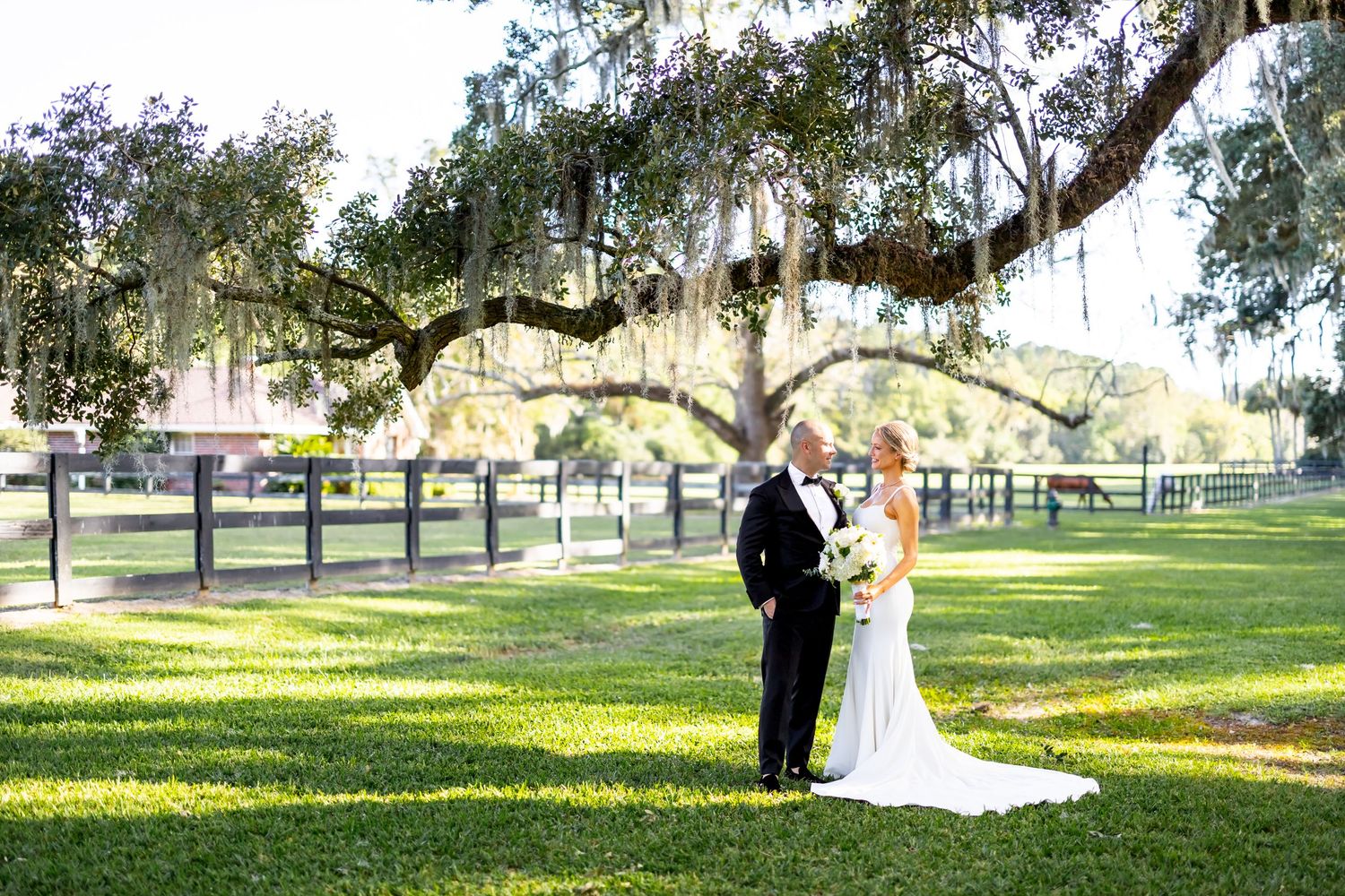 Wedding couple standing together under majestic oak tree with Spanish moss.