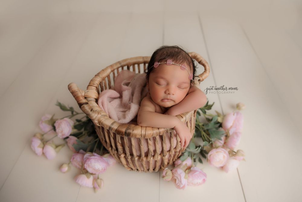 Knoxville newborn photographer