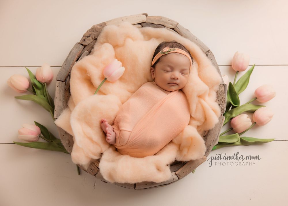 Knoxville newborn photos