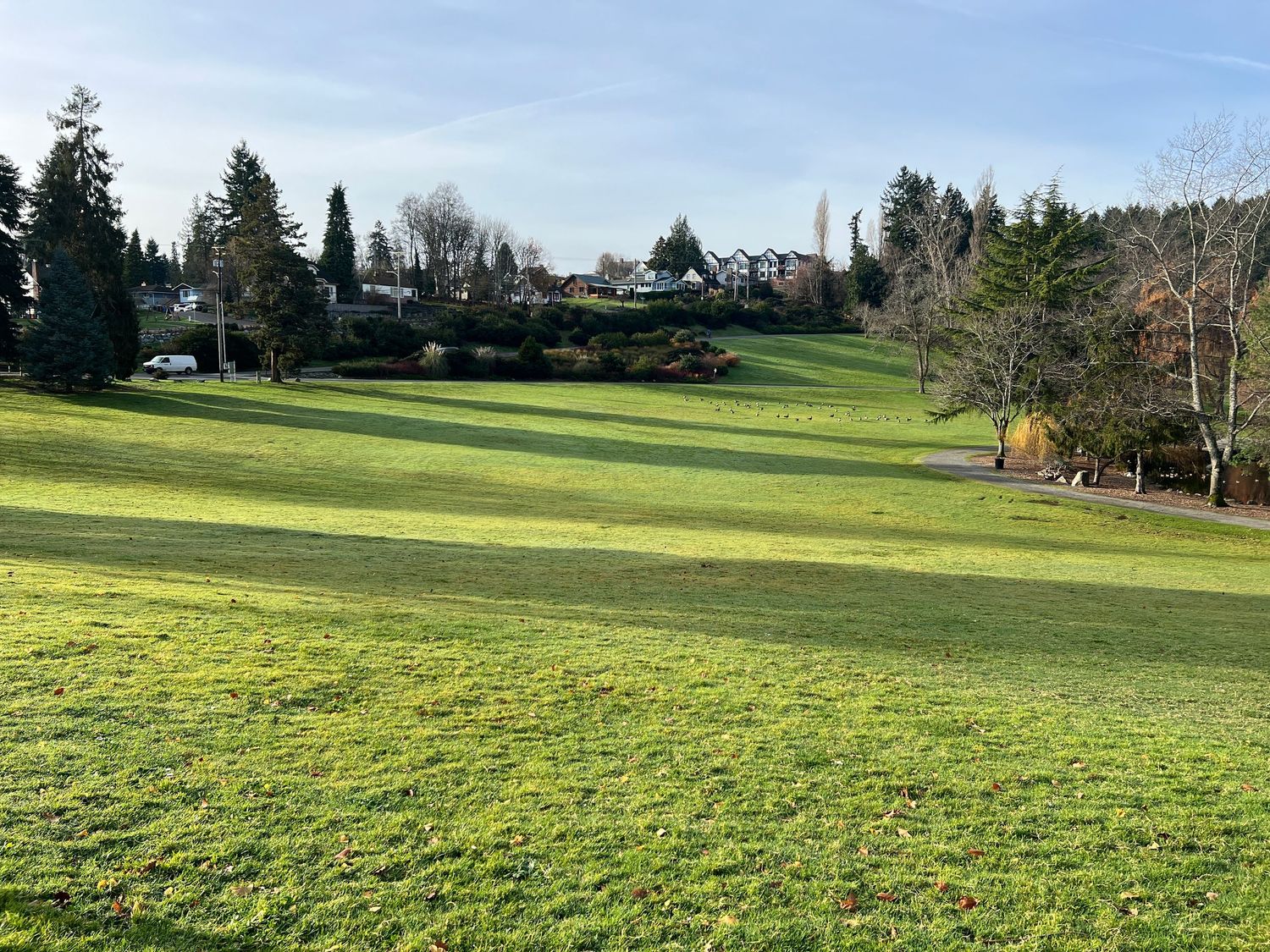 Expansive green field with trees in the background on a sunny day.
