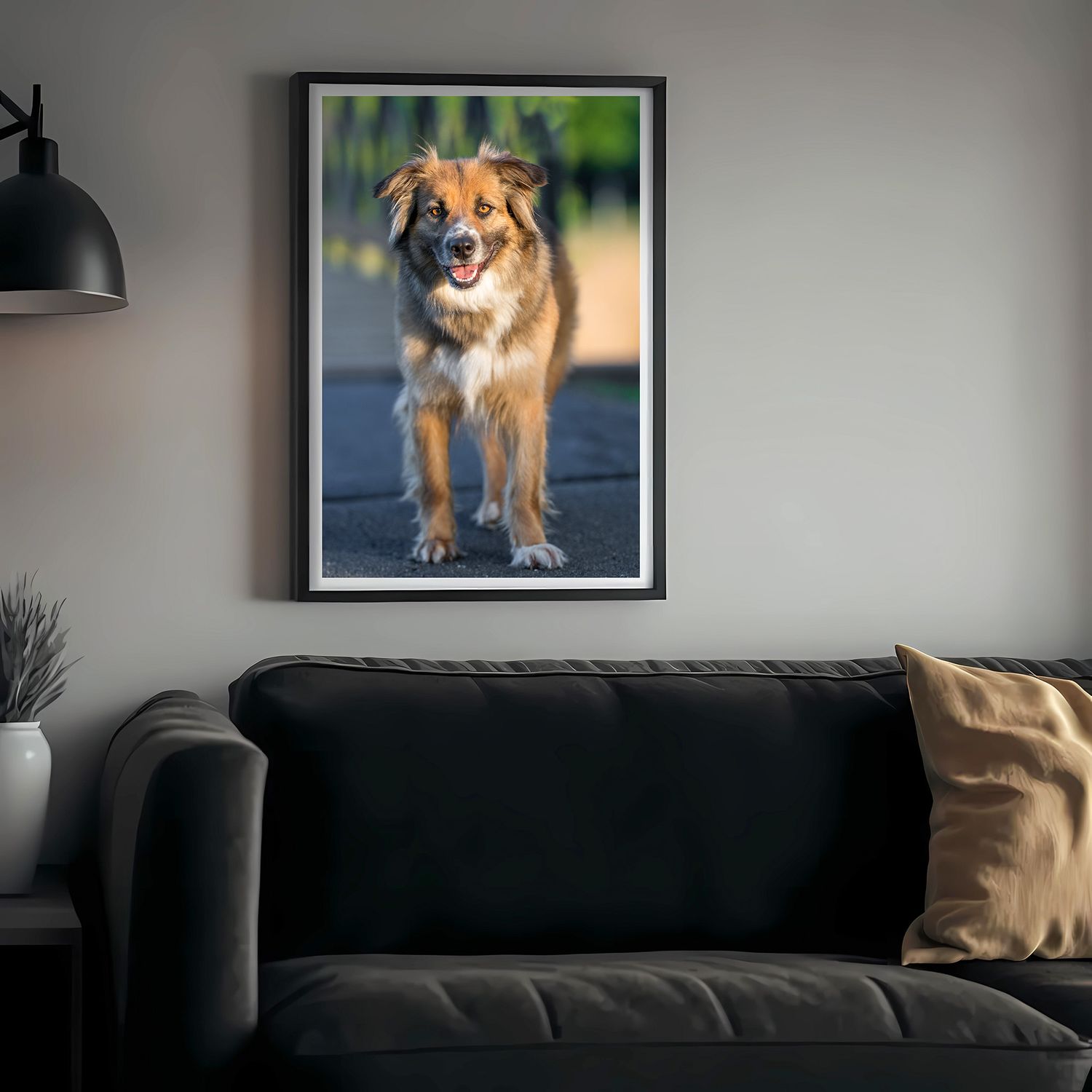 framed professional portrait of a shepherd dog standing on a paved trail. Wildomar, CA