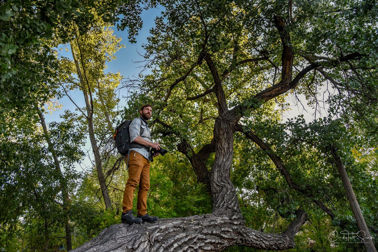 Arkansas nature photographer, Alex Kent standing on a massive downed tree in Santa Fe New Mexico