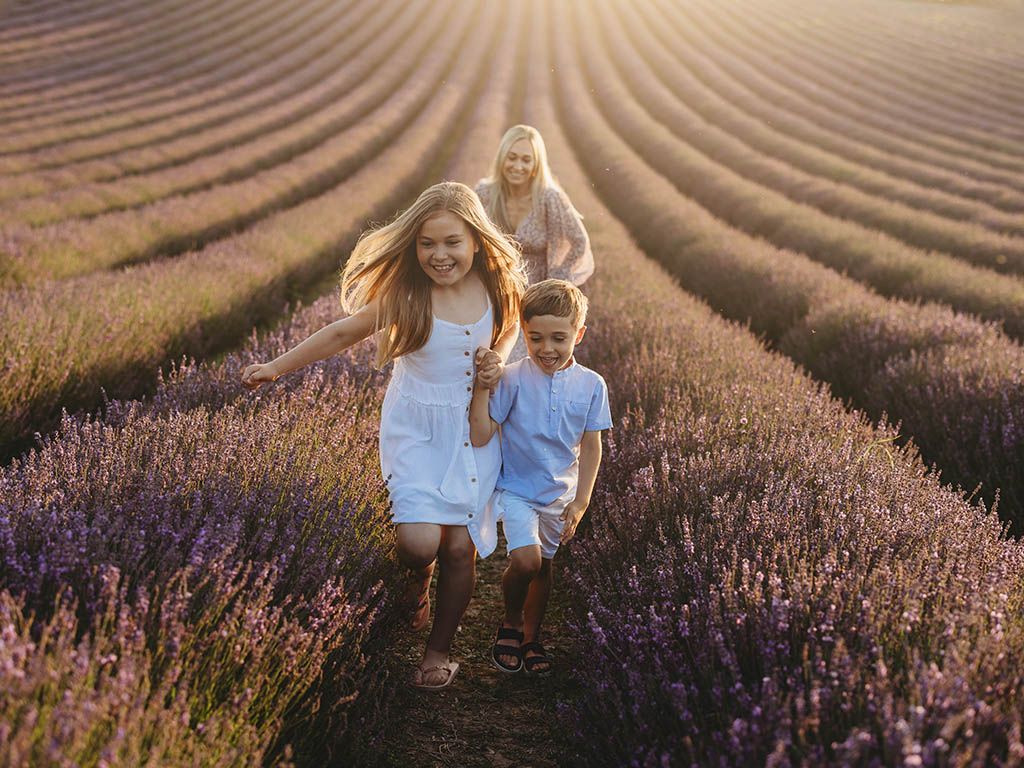 Children walking through rows of blooming purple lavender at sunset.