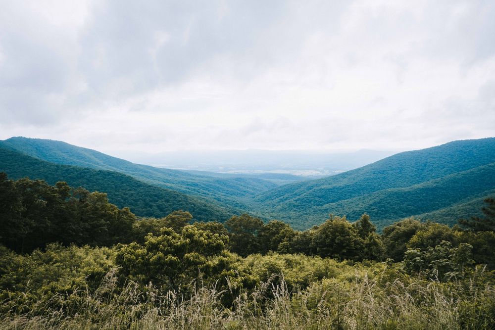 Panoramic view of lush green rolling mountains under a cloudy sky in Shenandoah National Park.