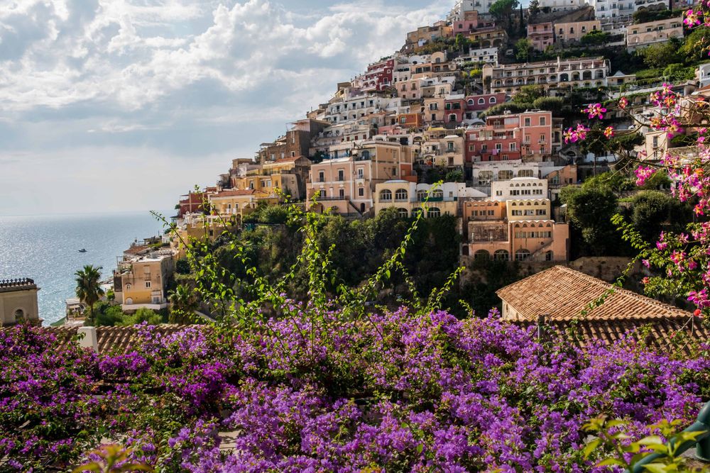 Colorful hillside buildings of Positano on the Amalfi Coast framed by vibrant purple bougainvillea flowers.