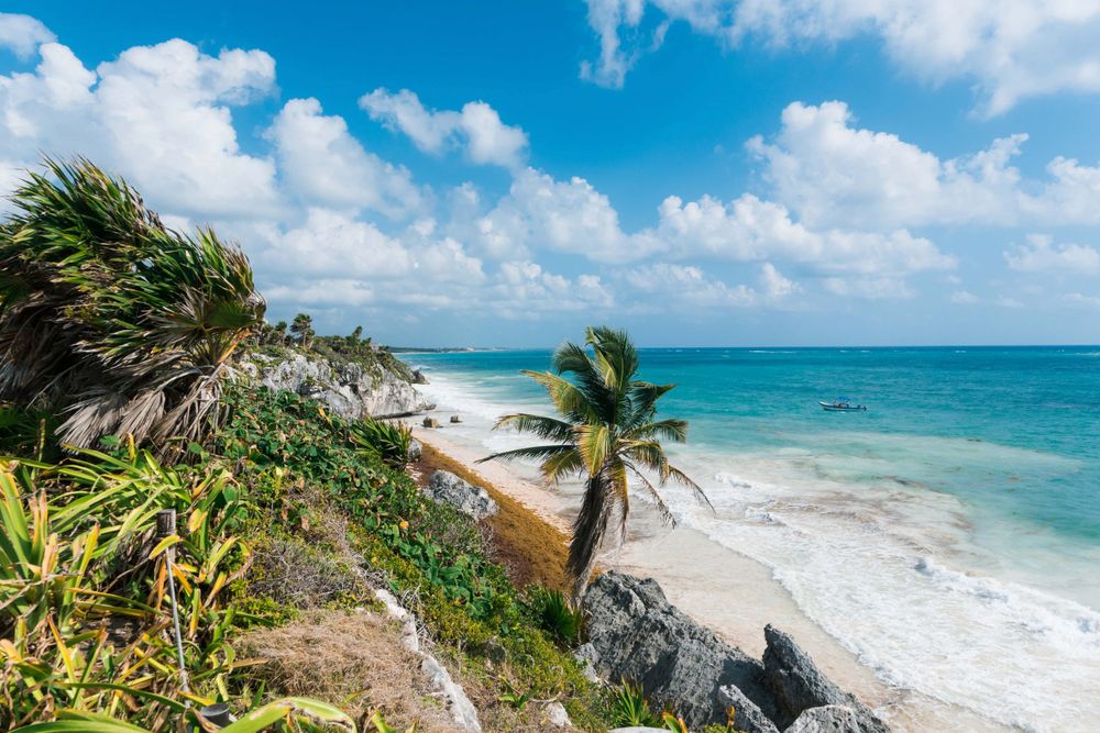 Stunning turquoise Caribbean coastline with palm trees and rocky cliffs under a bright blue sky.