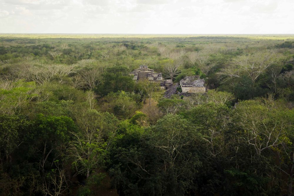 Aerial view of ancient Mayan ruins partially hidden among dense tropical jungle canopy.