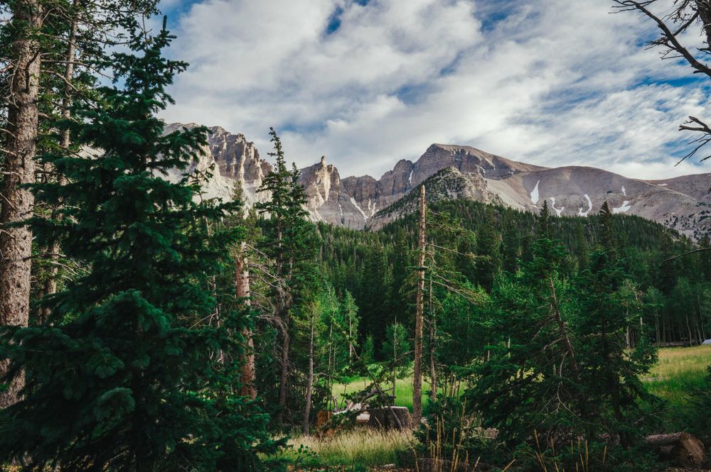 Towering Rocky Mountain peaks rise above a dense evergreen forest under a dramatic cloudy sky in Colorado.