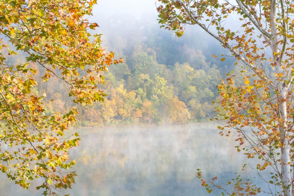 Misty autumn lake scene framed by colorful orange and yellow foliage on a foggy morning.