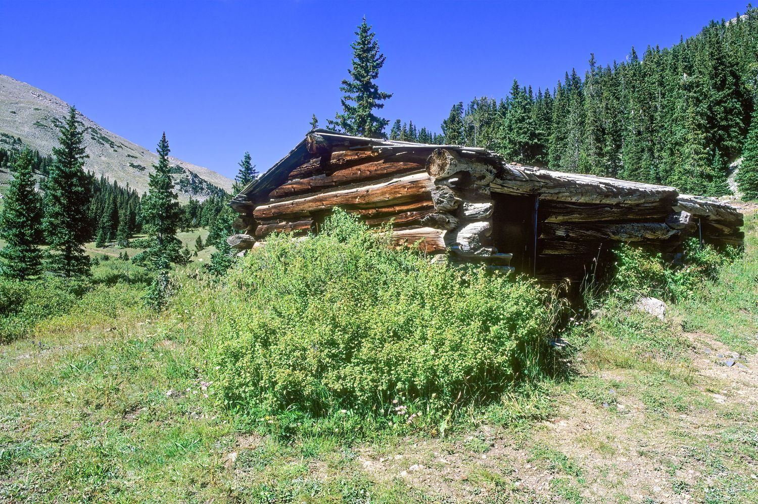 Cree's Camp, Colorado