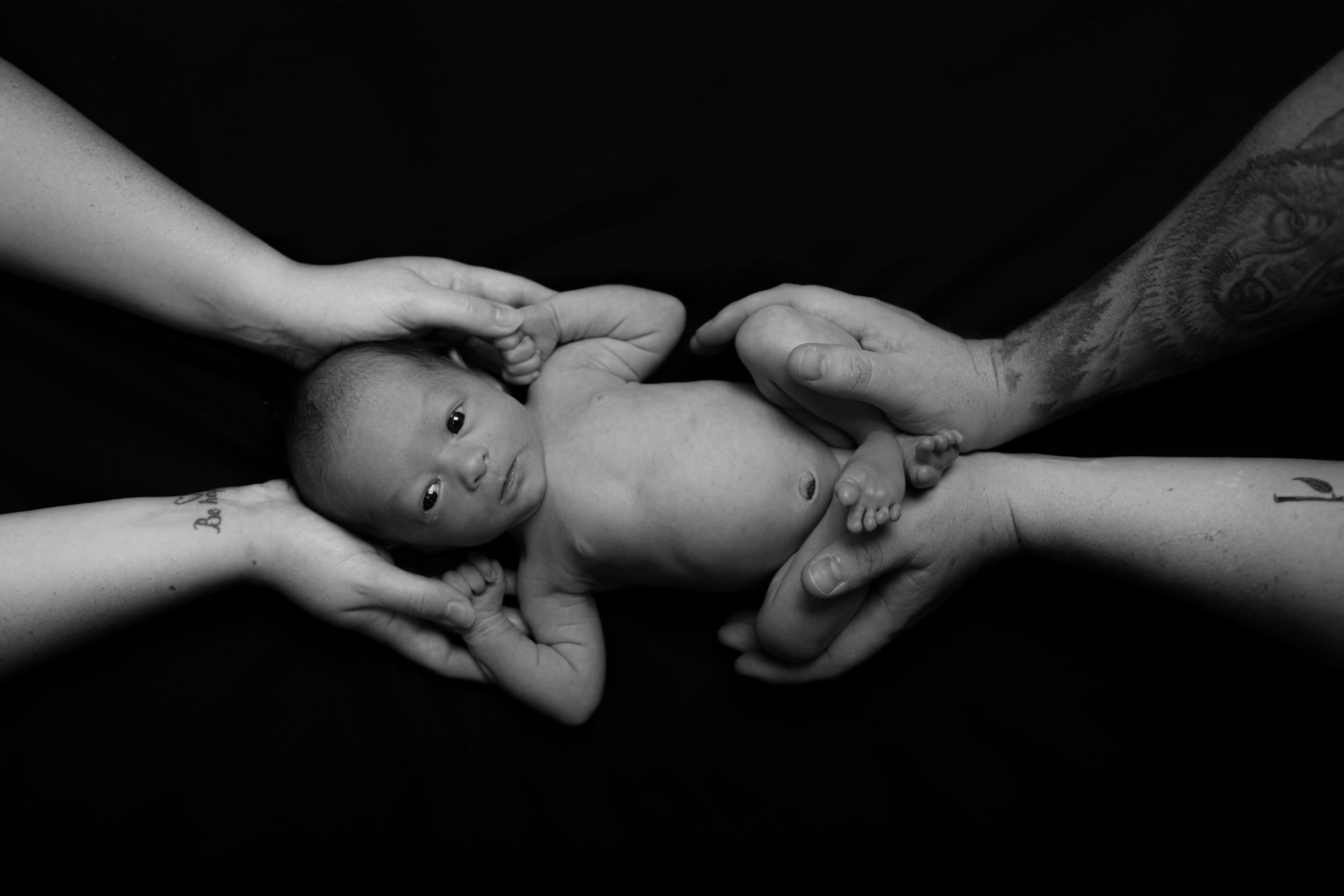 Intimate black and white photograph showing hands tenderly touching.