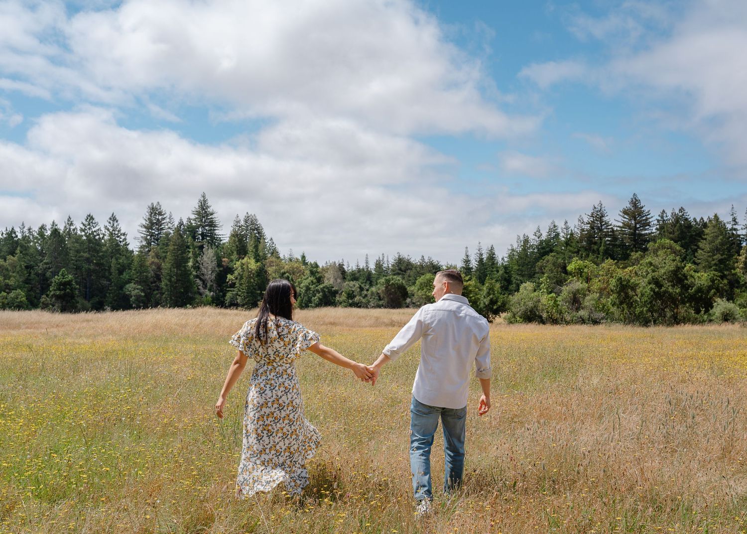 A couple walks hand in hand through a sunny meadow with evergreen trees in the background.