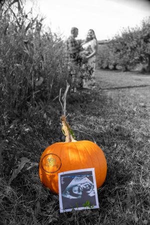 A pregnancy announcement with a couple blurred in the background and the sonogram propped up against an orange pumpkin