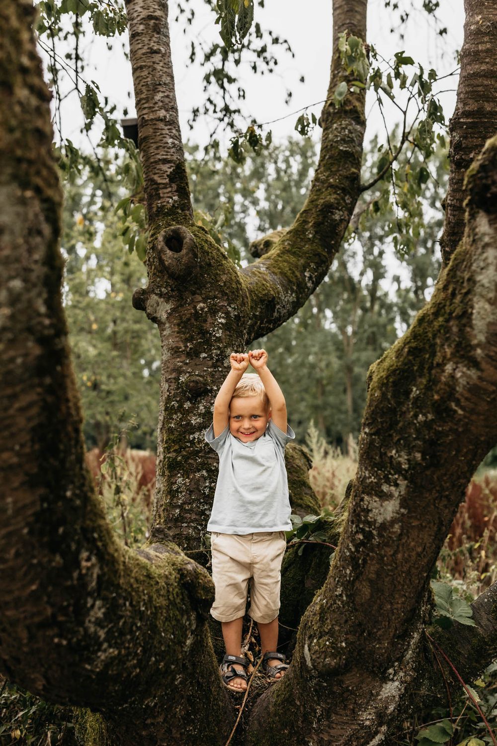 Toddler stands joyfully in tree branches while playing outdoors.