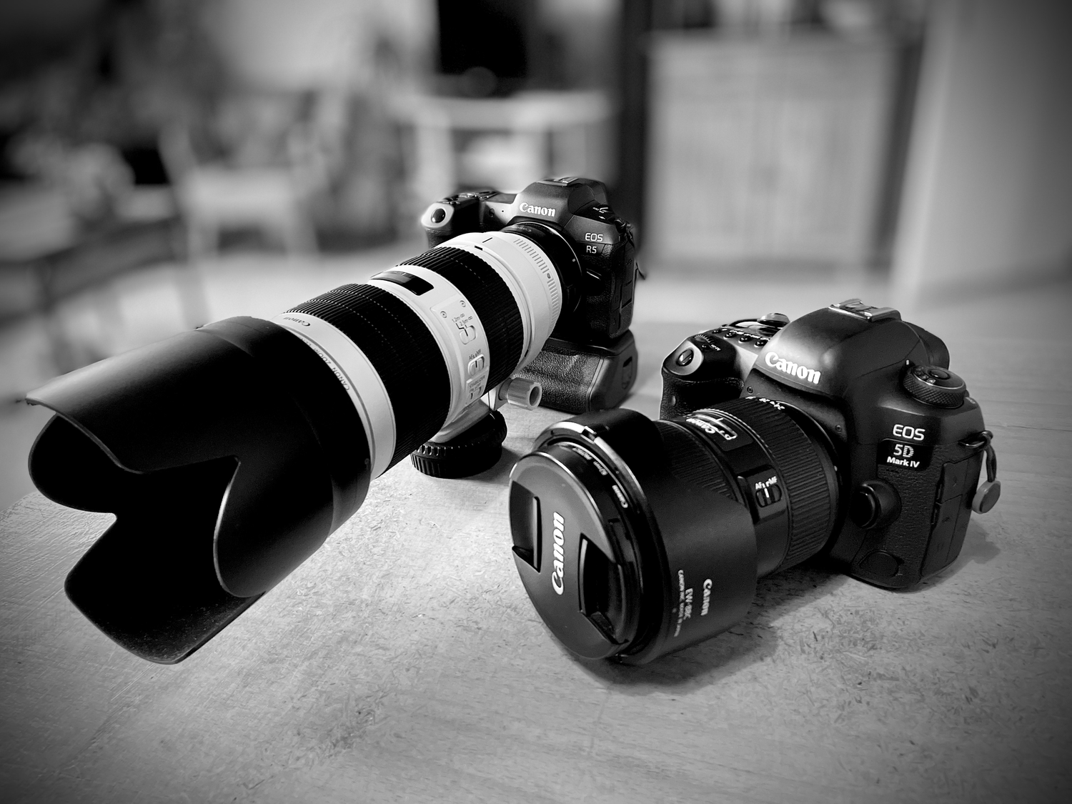 Two DSLR cameras with telephoto and standard lenses on table in black and white.