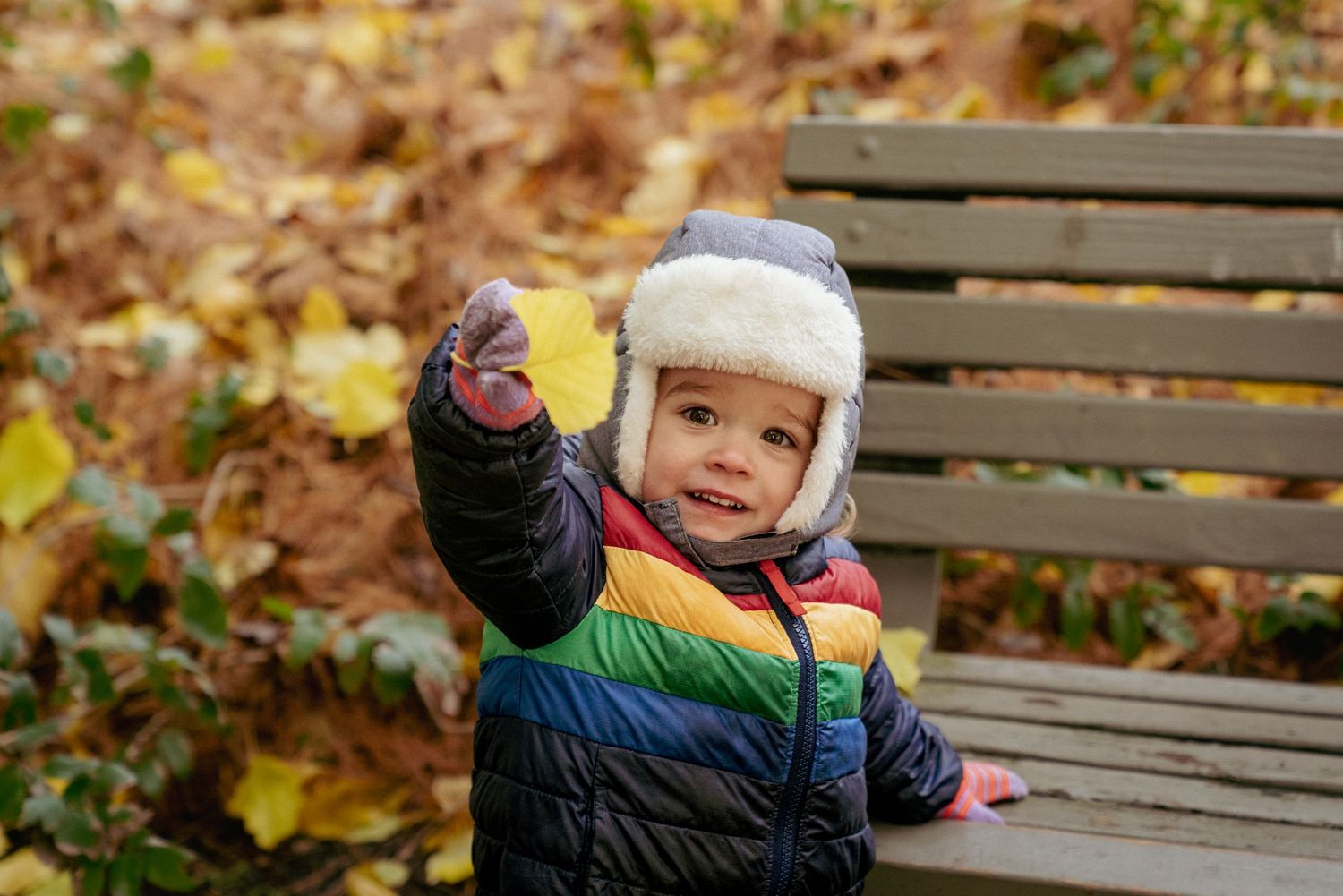 Child bundled in rainbow coat pointing at camera, golden leaves in Oregon park, fall toddler portrait PNW. Wearing rainbow jacket.