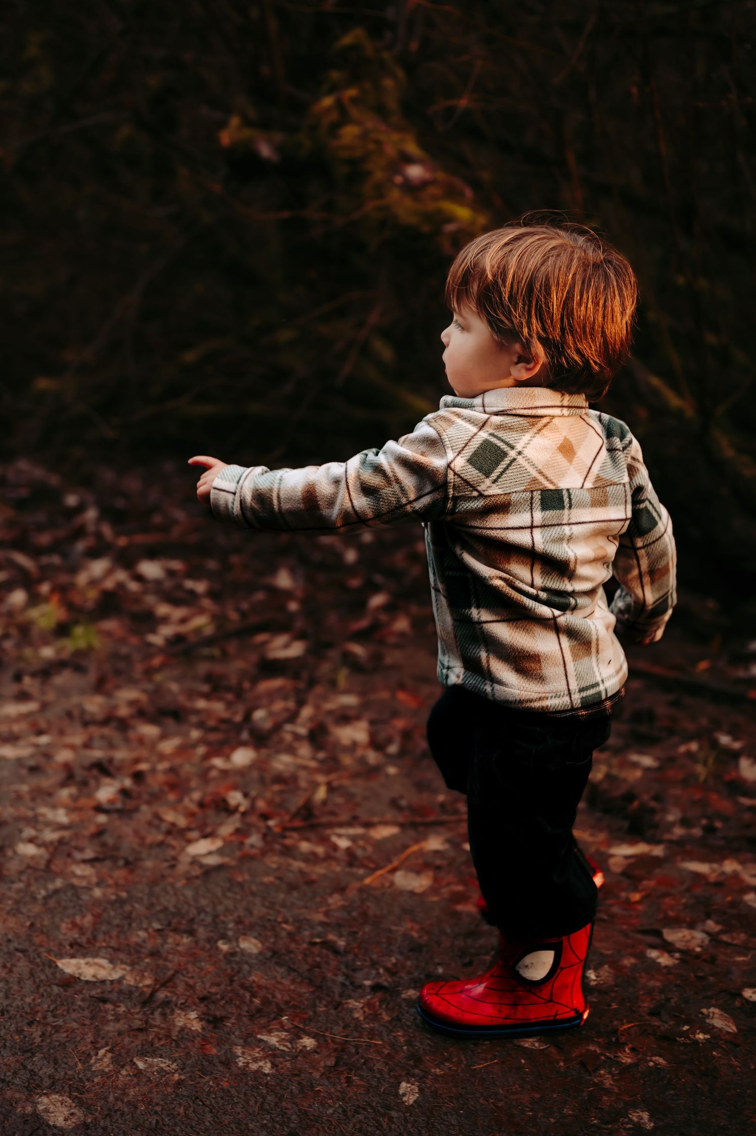 Small child in plaid shirt and black pants plays in fallen autumn leaves.