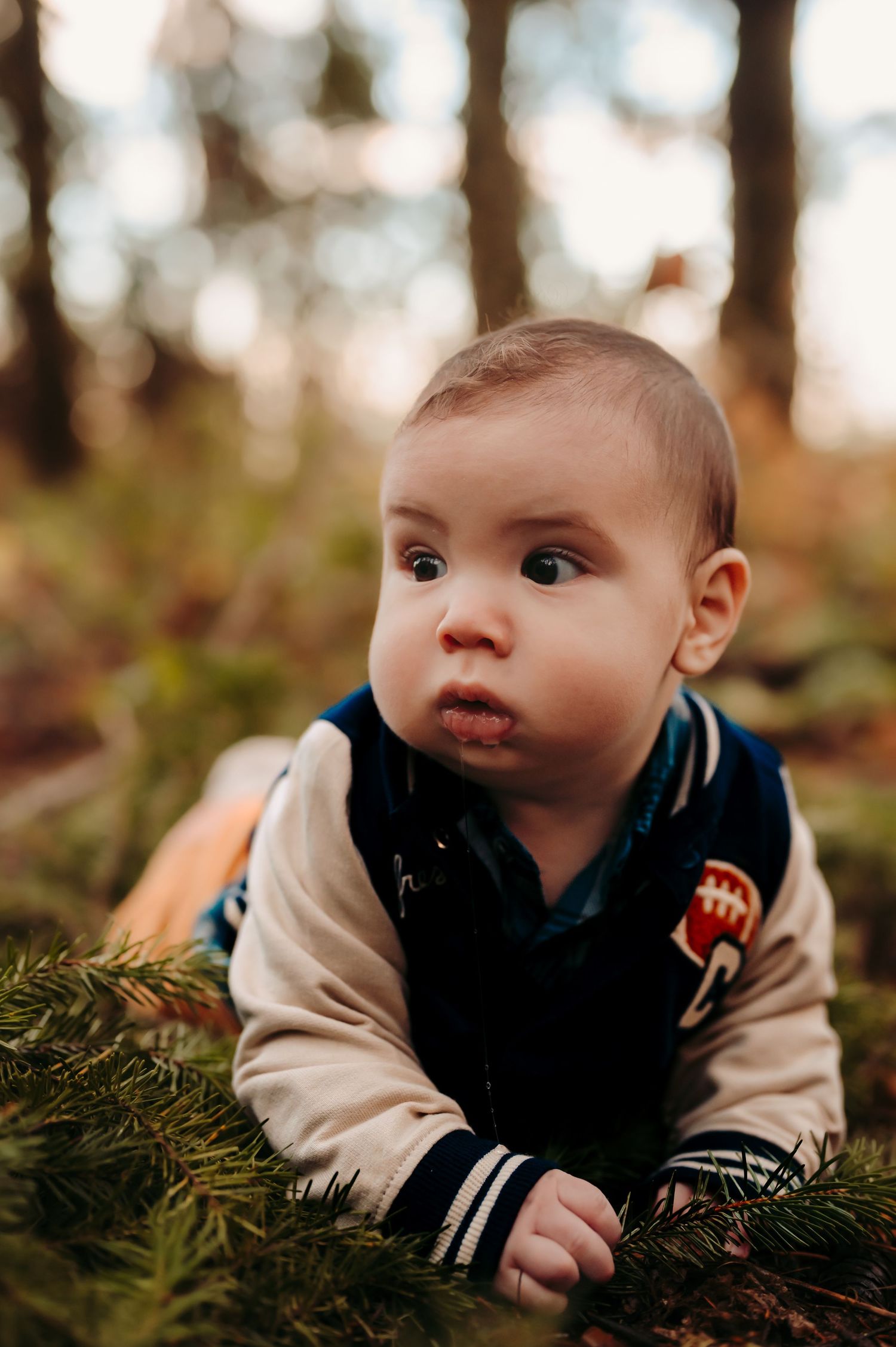 Baby lying on forest floor explores evergreen branches in autumn.