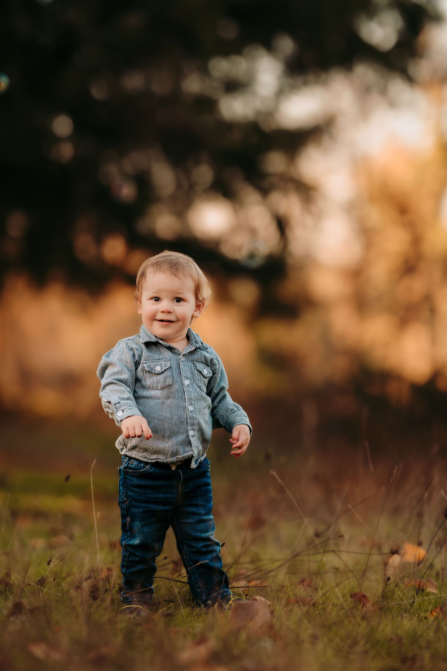 Toddler in denim jacket explores grassy field during golden hour.