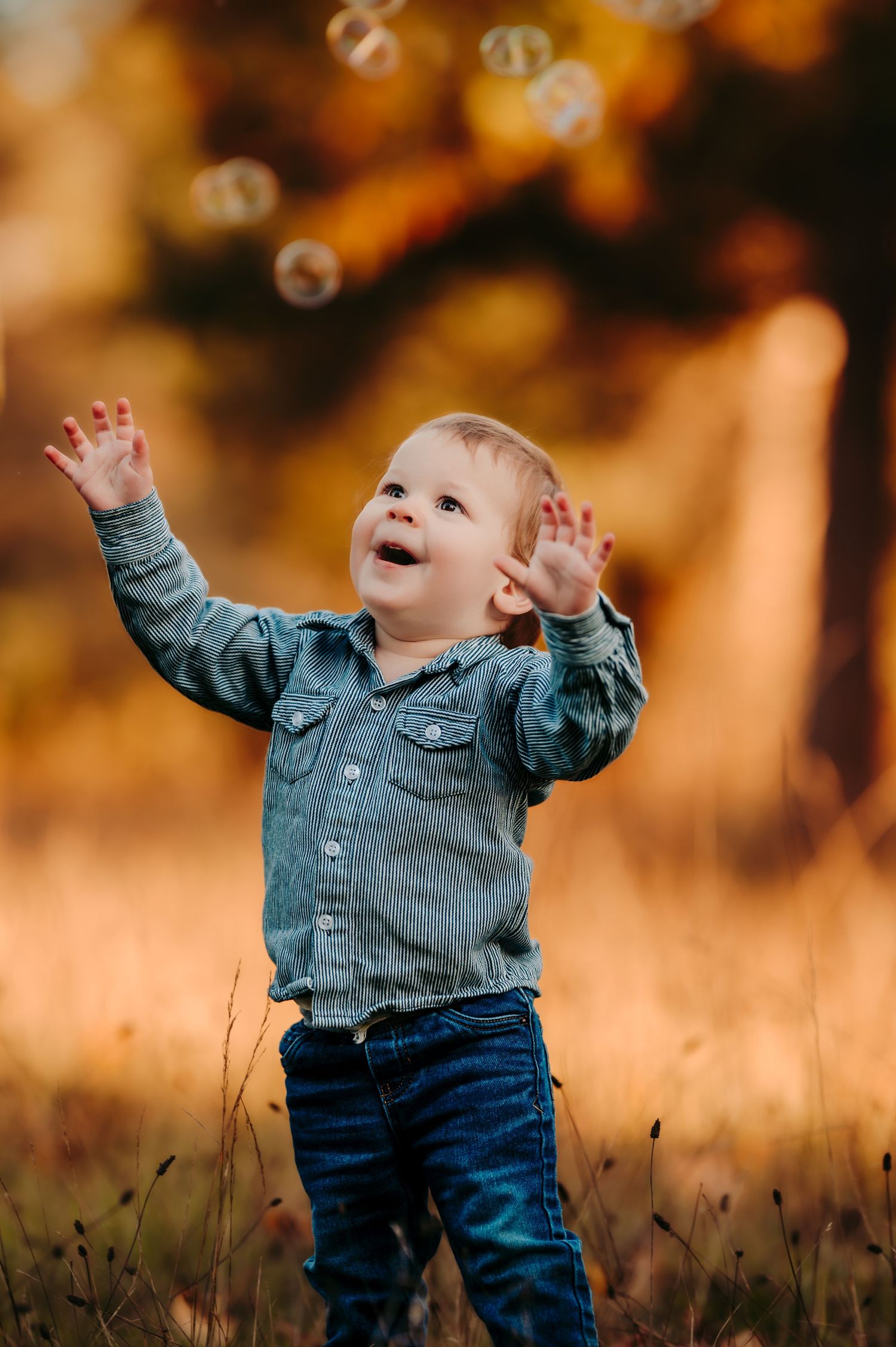 Happy toddler in denim outfit plays in tall grass at sunset.