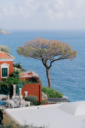 A lone pine tree stands against the blue Mediterranean Sea beside colorful coastal villas with terracotta roofs.