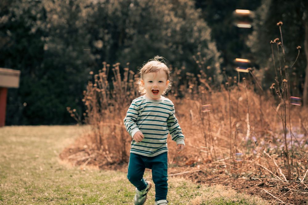 A young toddler in a striped shirt explores an autumn meadow with tall grass and golden afternoon sunlight.