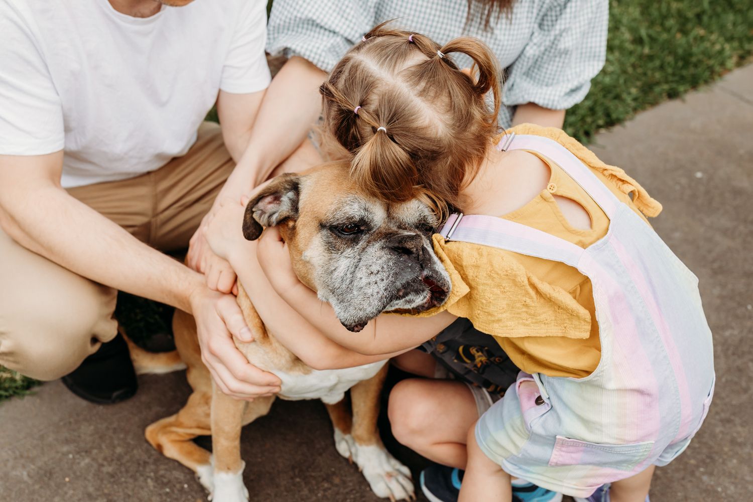 pet memorial photography