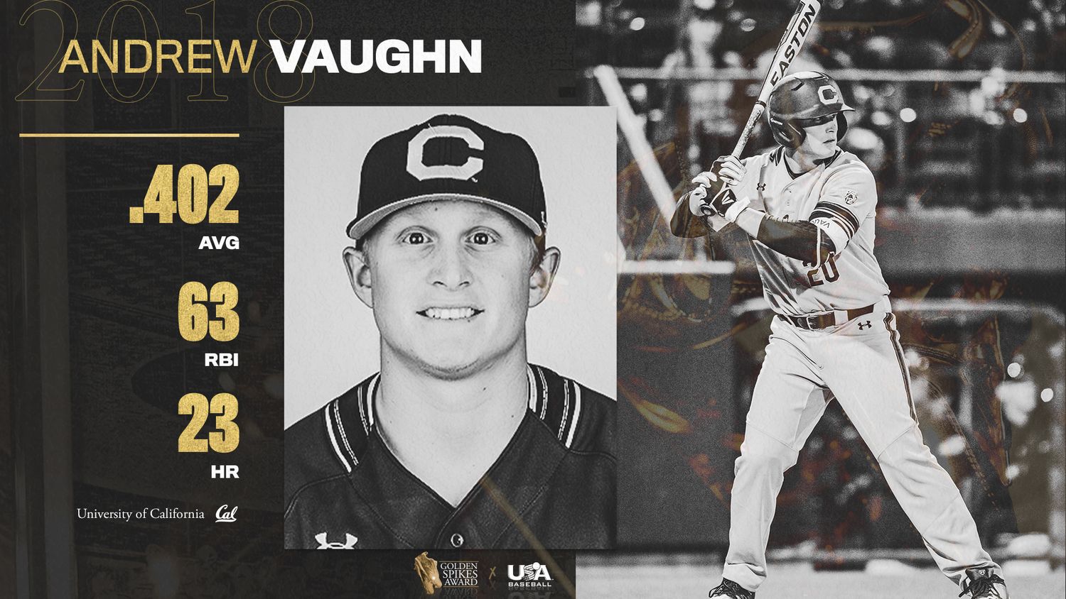 USA Baseball player Andrew Vaughn stats graphic showing .402 AVG, 63 RBI, and 23 HR at Cal.