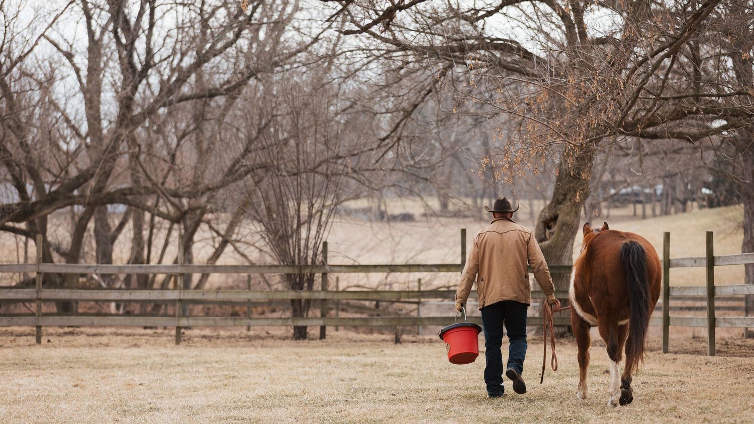 Someone in a brown jacket walks with a brown horse carrying a red bucket in a fenced rural pasture area.