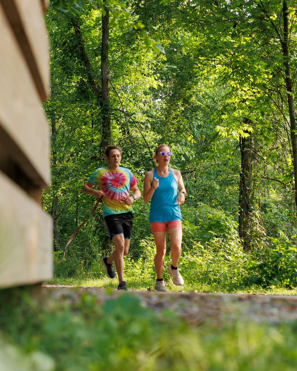 Athletic runners jog together through a lush green forest trail on a bright summer day.