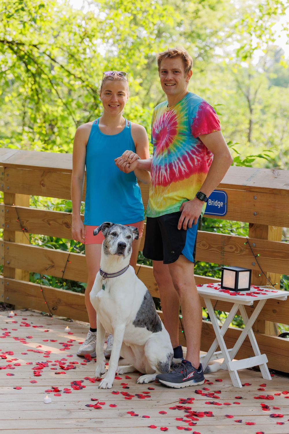 White and gray dog sits on wooden deck decorated with rose petals while people stand nearby in colorful clothing.