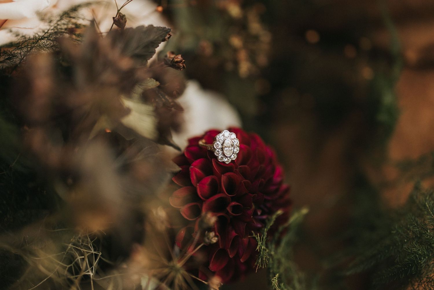 A vintage diamond ring nestled within deep red rose petals with a soft blurred natural background.