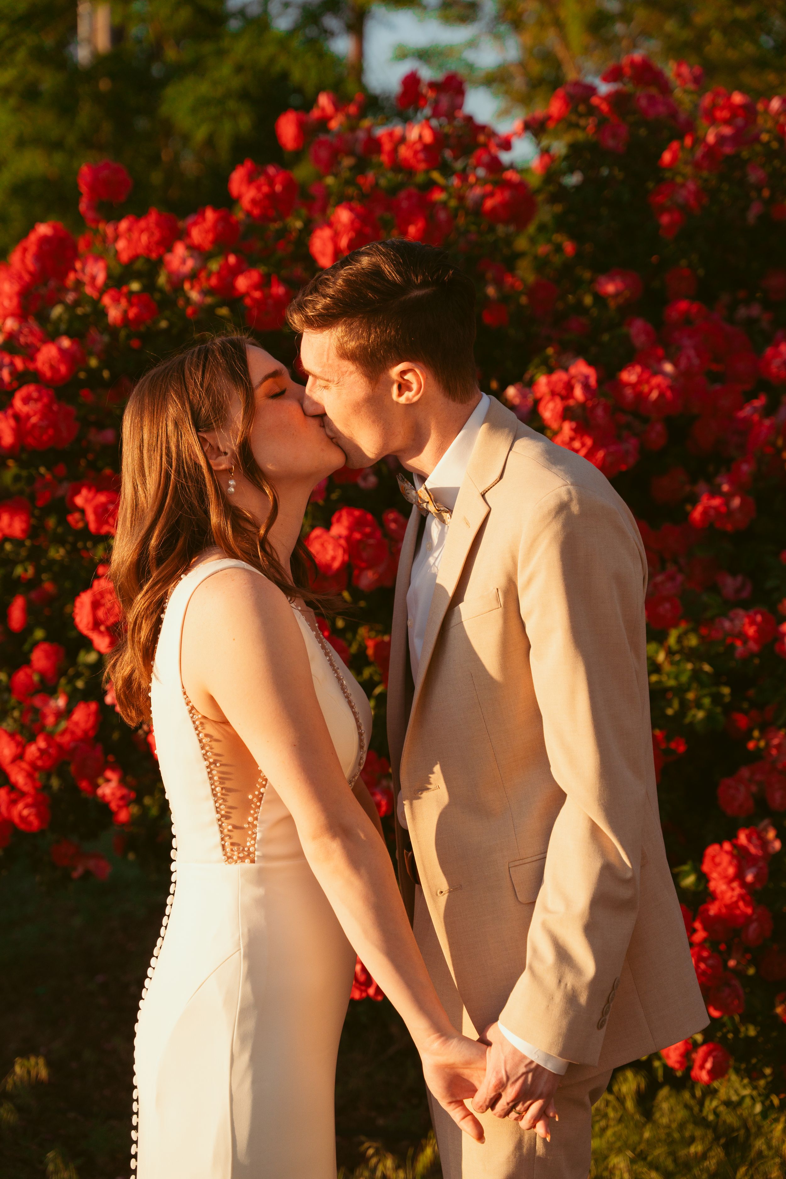 Couple shares romantic kisses against a backdrop of blooming red roses at sunset.
