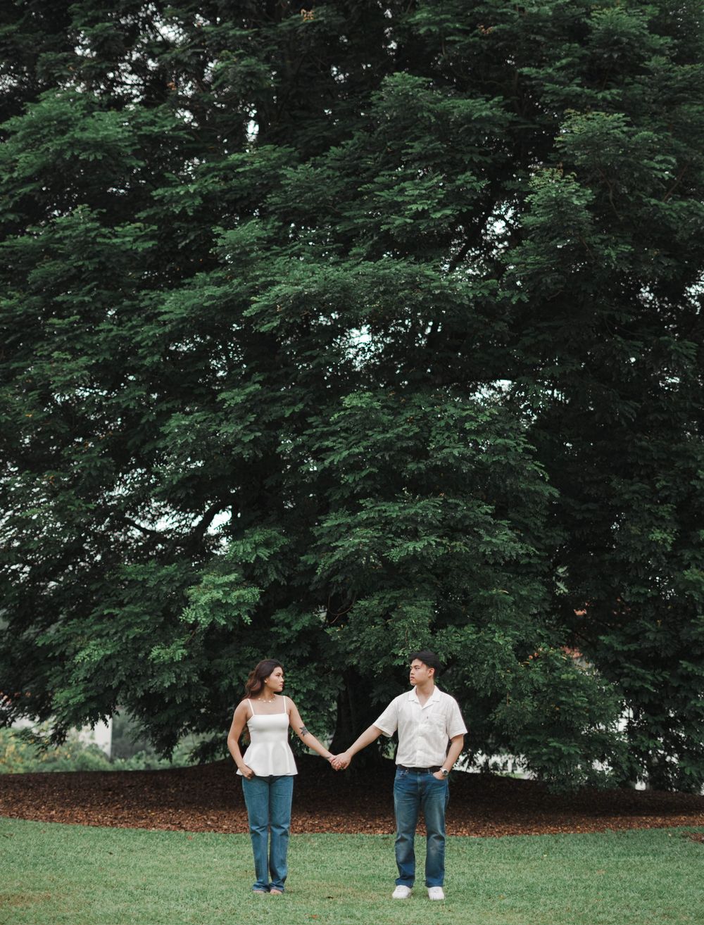 Couple holding hands while walking on green grass beneath a towering leafy tree in a romantic outdoor setting.