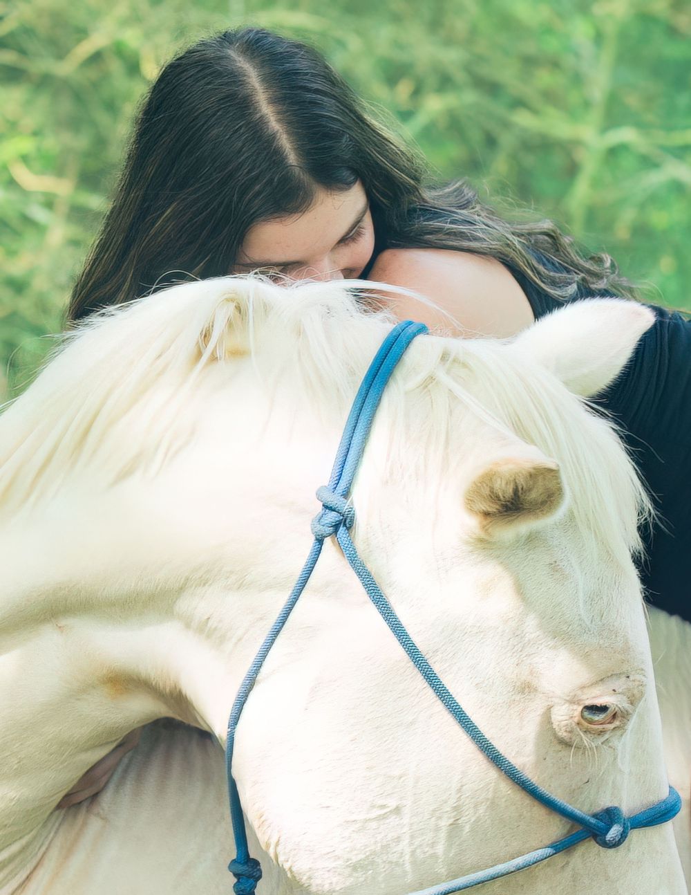Professional Equine/Horse/Rodeo photography services from Pam Horn, photographer at Pawfect Moments Photography servicing Livingston, Texas