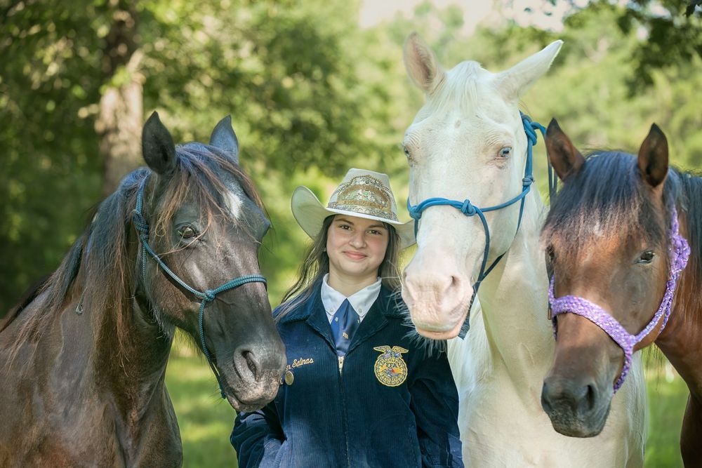 Professional Equine/Horse/Rodeo photography services from Pam Horn, photographer at Pawfect Moments Photography servicing Livingston, Texas
