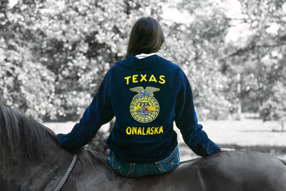 Professional Equine/Horse/Rodeo photography services from Pam Horn, photographer at Pawfect Moments Photography servicing Livingston, Texas