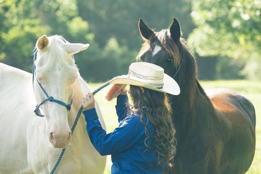 Professional Equine/Horse/Rodeo photography services from Pam Horn, photographer at Pawfect Moments Photography servicing Livingston, Texas