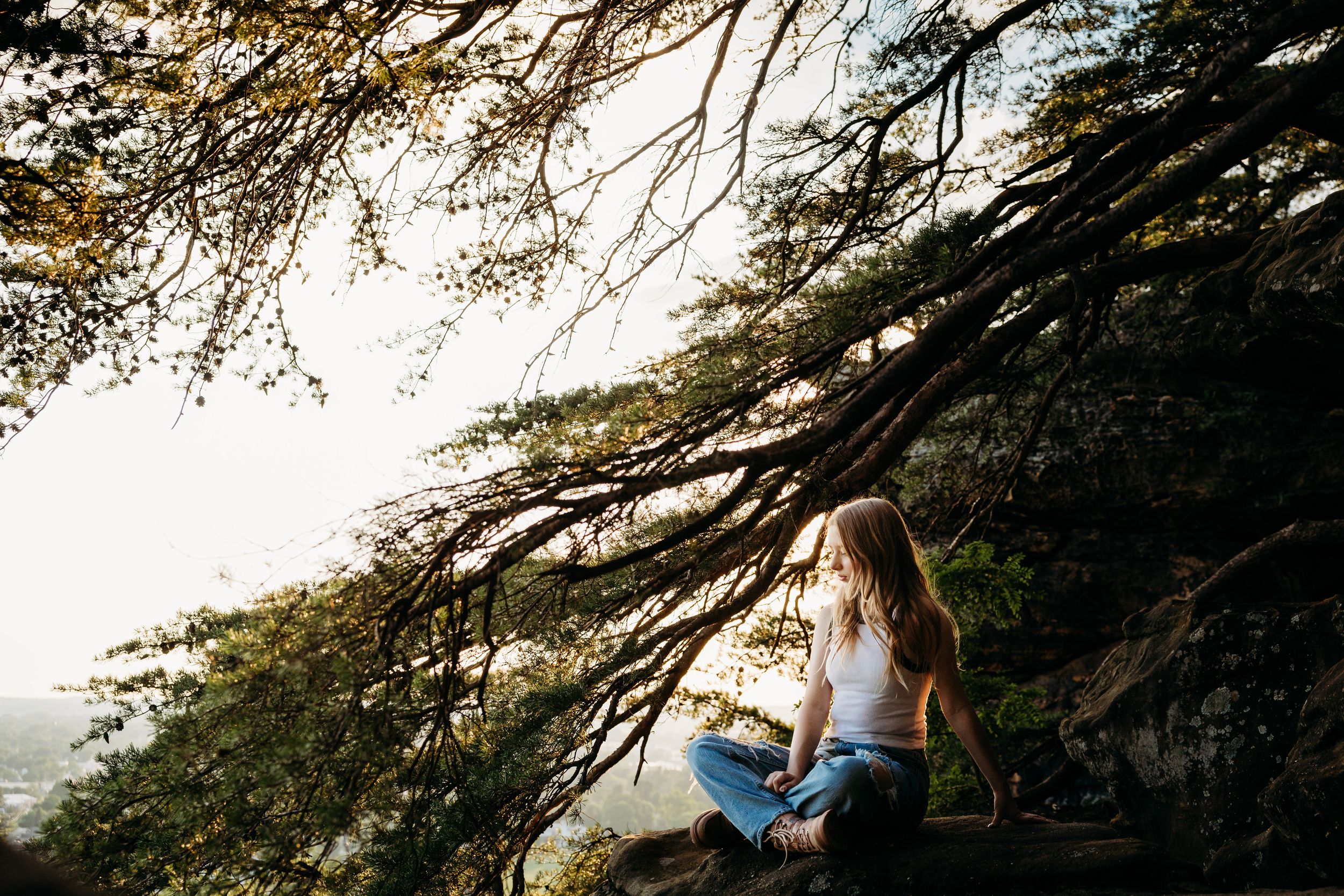 A person in a blue jacket walks underneath towering trees along a scenic wooded trail on a bright sunny day.