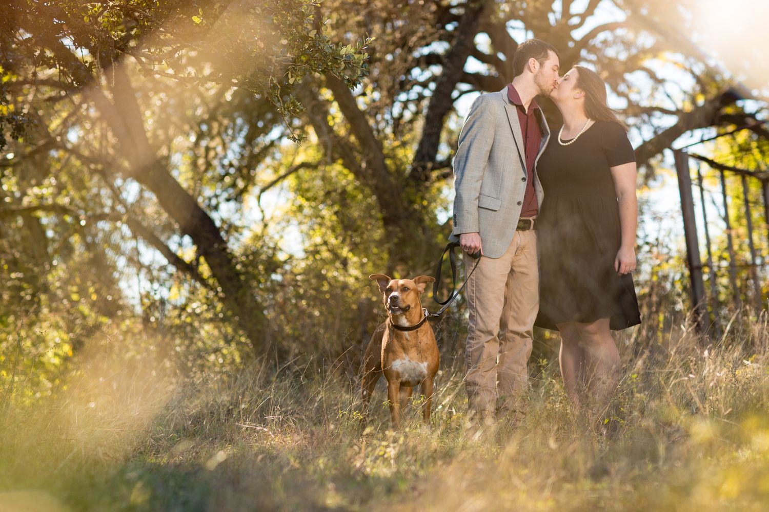 A couple walks their brown dog on a sunlit trail through golden autumn trees.