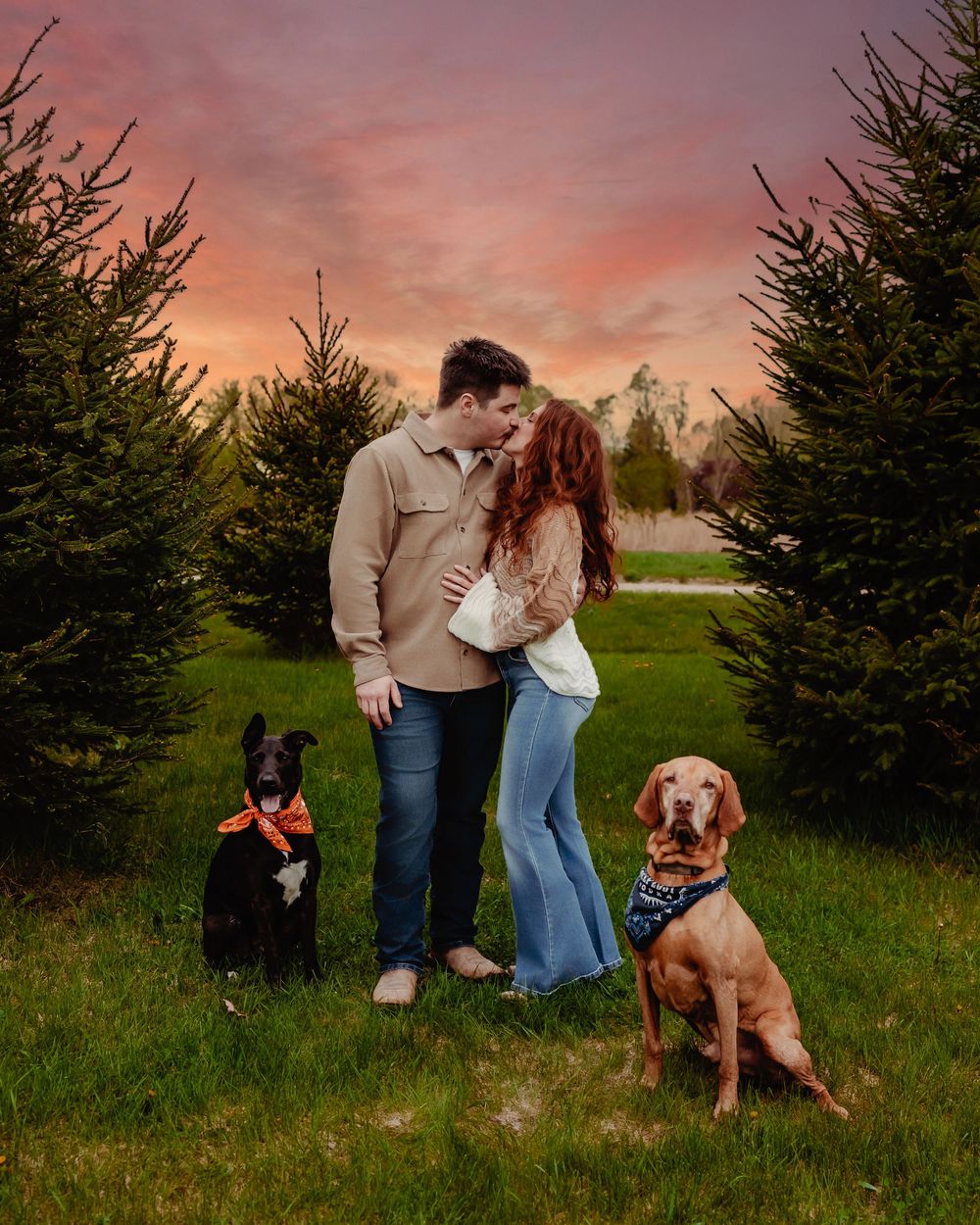 A couple and their two dogs stand among evergreen trees at sunset with a vibrant pink and orange sky.