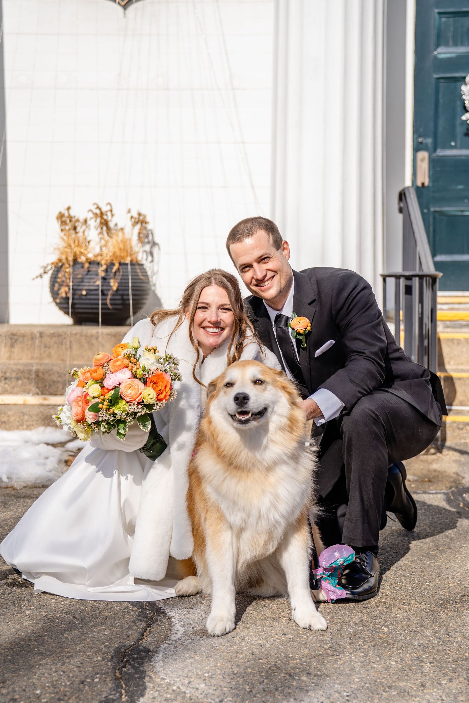 Four sequential photos show a couple posing with their fluffy white and brown dog outside a building on their wedding day.