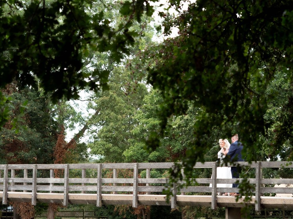 wedding photographer
nottingham photographer
derby photographer
dog photographer
equine photographer