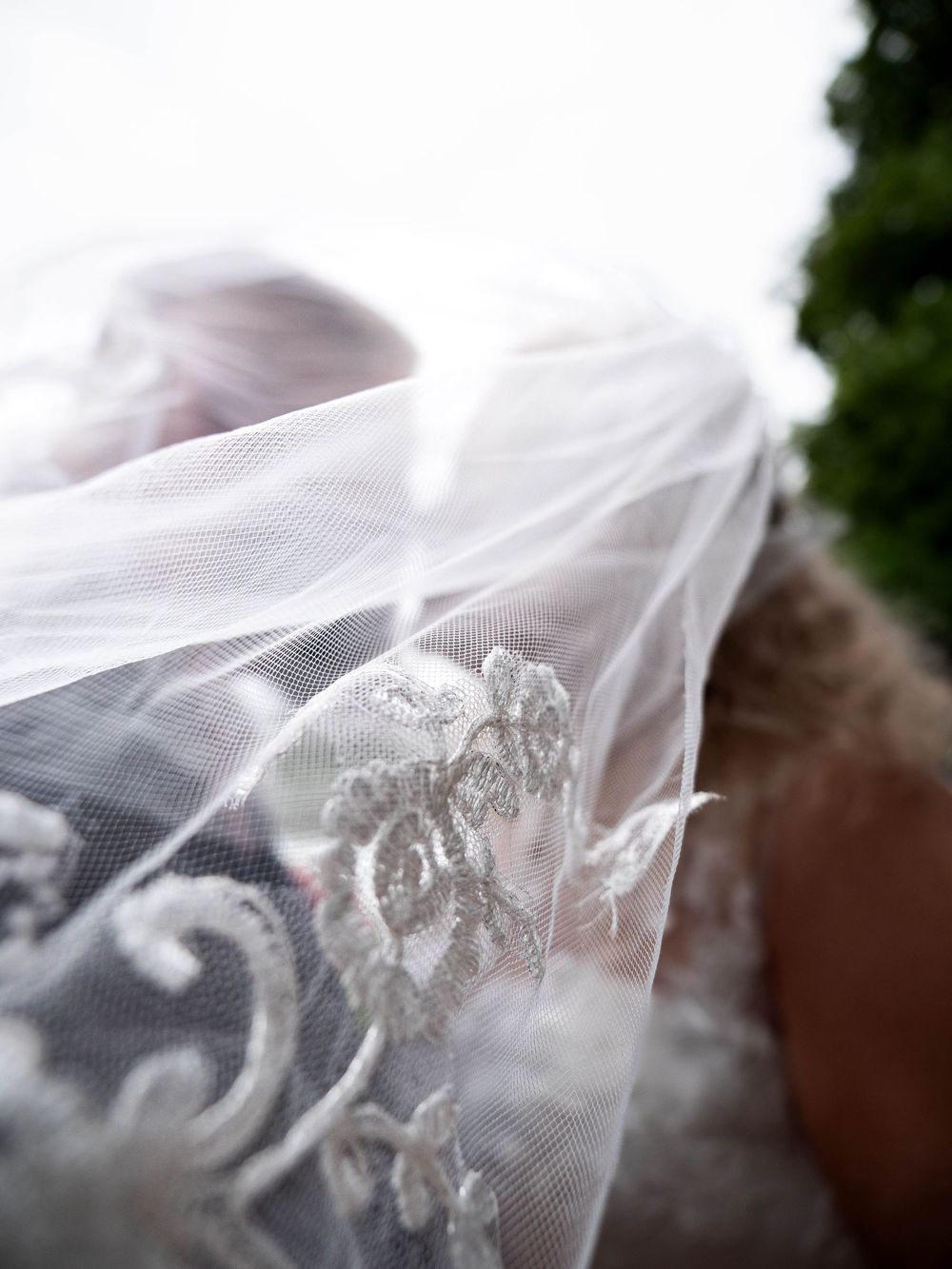 wedding photographer
nottingham photographer
derby photographer
dog photographer
equine photographer